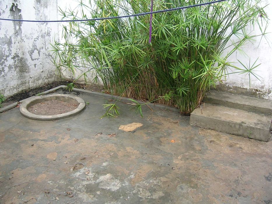 Moradia T3 + várias habitações