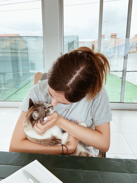 pet sitting e dog walking | cuidados para o seu animal