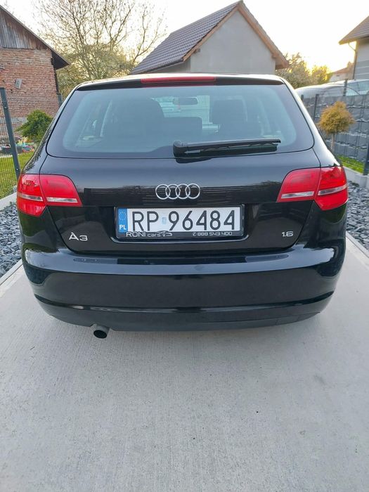 Audi a3 8p 1.6 + gaz