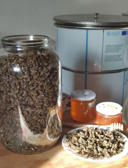 Бджолиний підмор, продукт бджільництва
