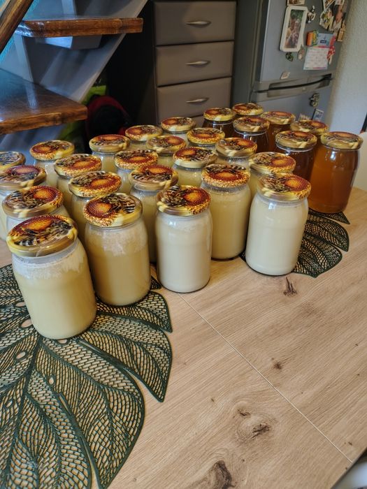 Miód z własnej pasieki