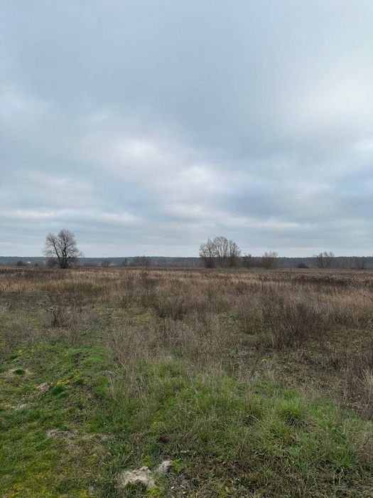 Ділянка під забудову 45 соток  в Ірпіні