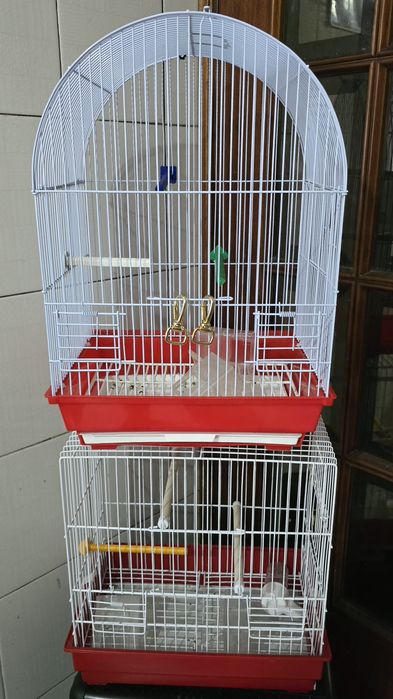 Gaiolas Como Novas