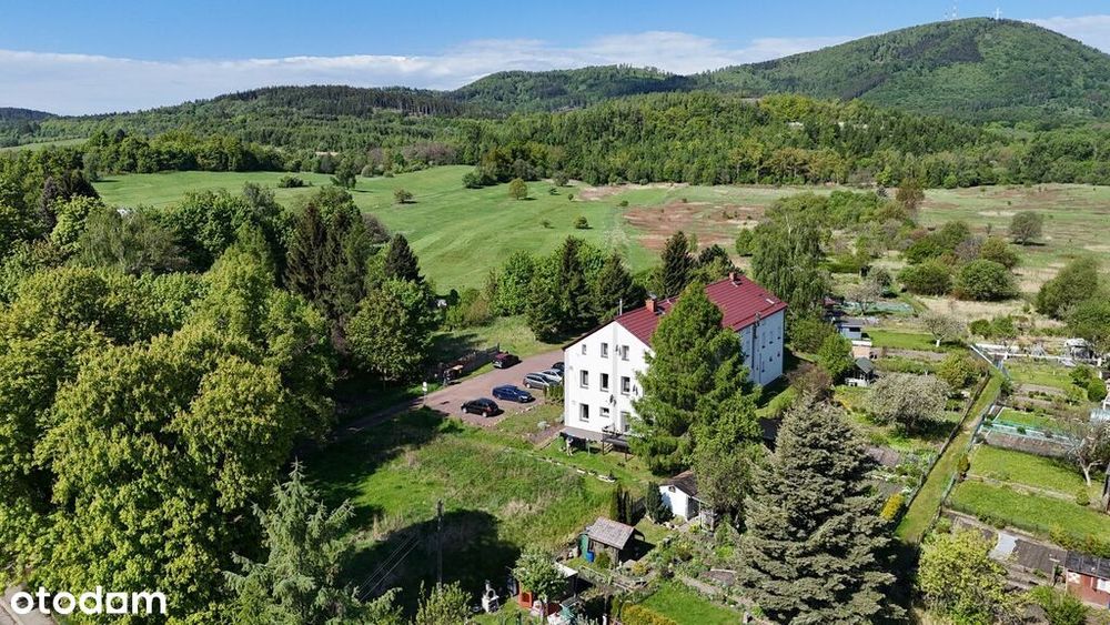 958 M² | Wz Na 2 Domy | Widok Na Chełmiec