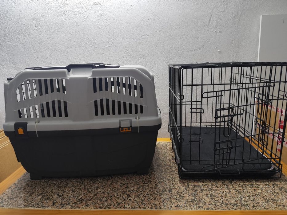Transportadora de animais