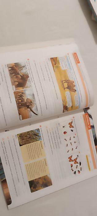 Livro fichas Ciências. 5 Ano. Terra à Vista