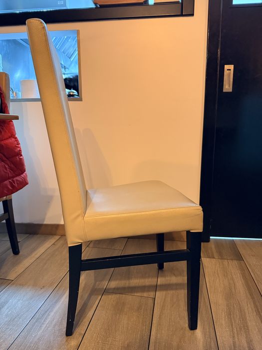 Cadeiras de napa costa alta cor (toffe) 49 uni.+ candeeiros iglo