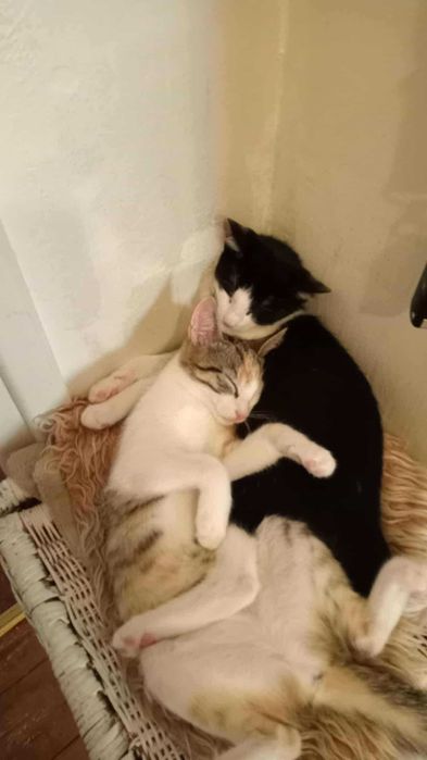 Maciek czeka na domek