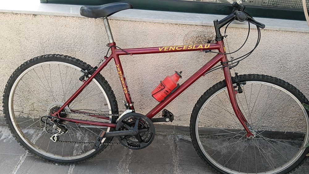 Bicicleta de montanha