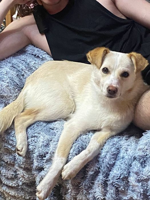 Енергійна красуня шукає родину