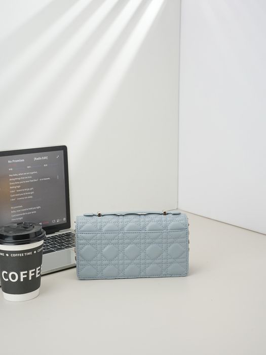 DIR Жіночий клатч Louis Vuitton