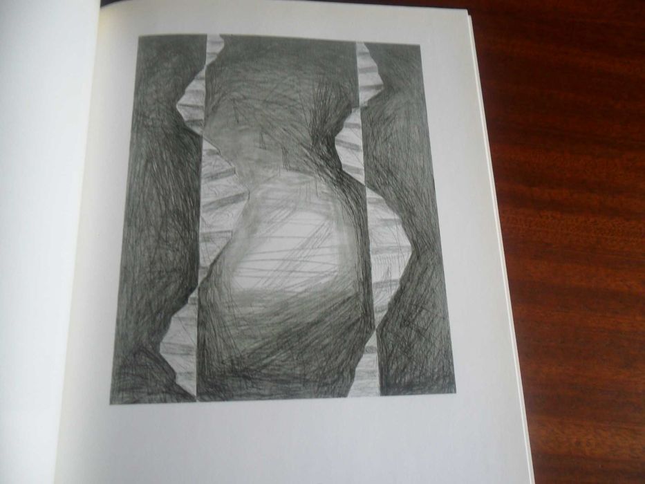 "Pedro Calapez - Desenhos sobre Madeira" - Catálogo de Exposição 1989