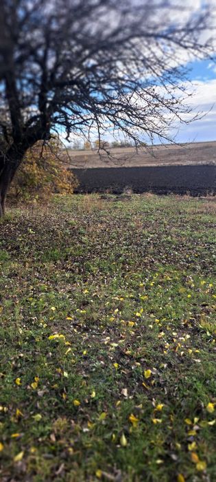 Земельна ділянка