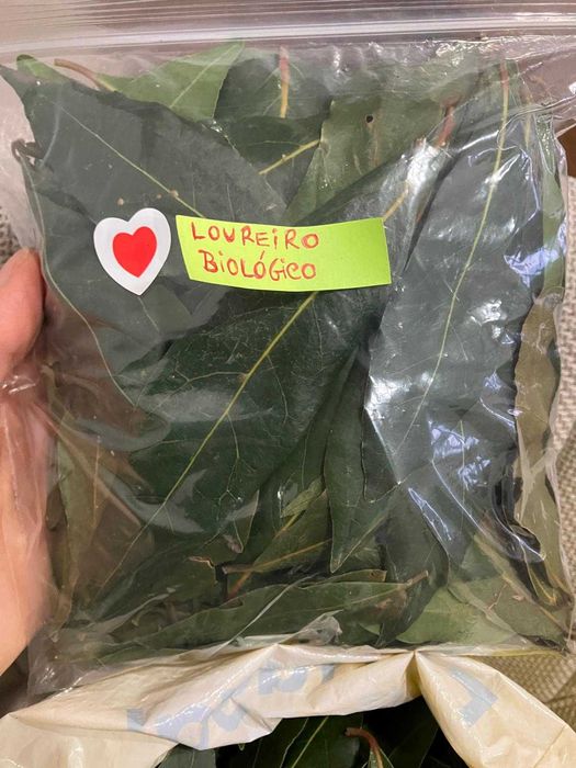 Loureiro Fresco e Biológico