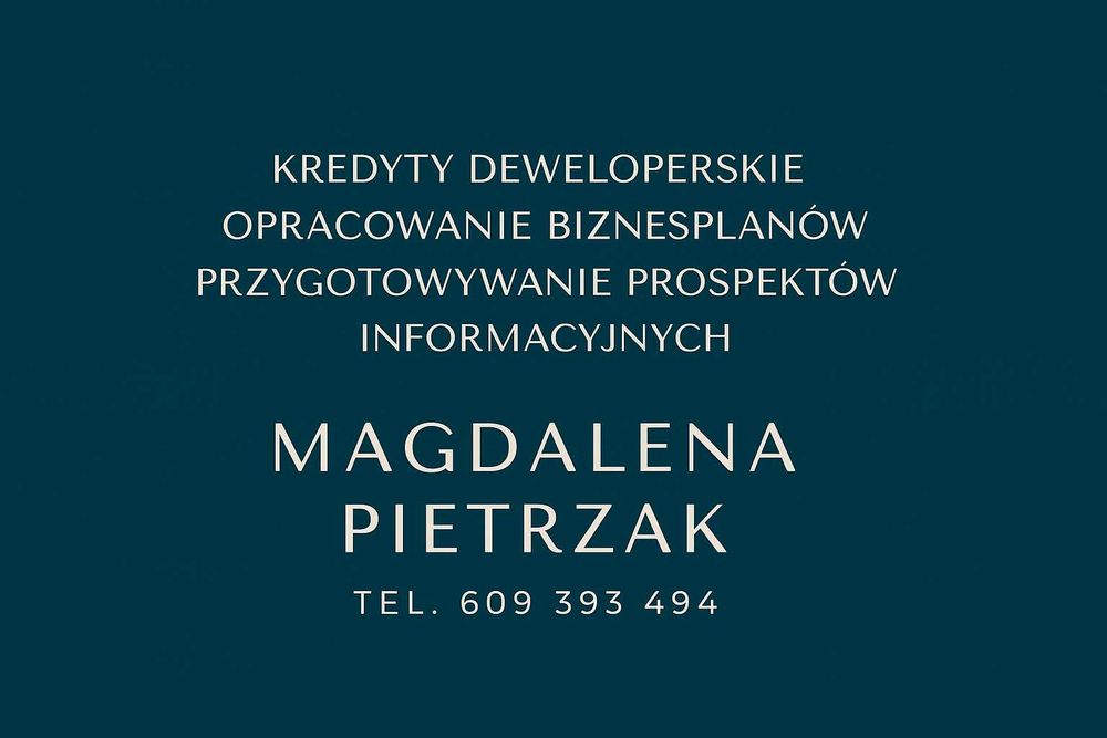 Kredyt deweloperski, Biznesplan, Prospekty informacyjne