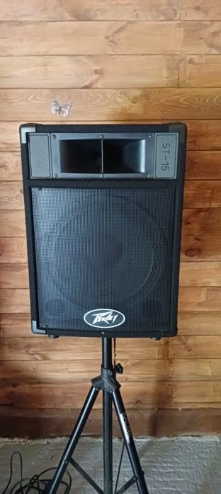 Kolumny estradowe Peavey St-15