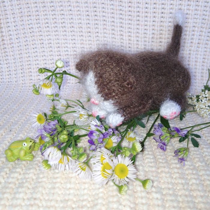 Кошеня - дарунок на свята