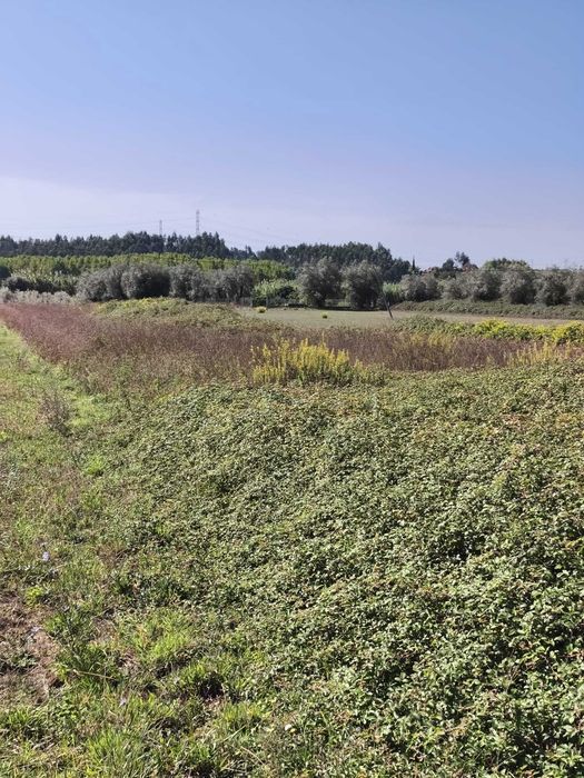 Terreno para venda