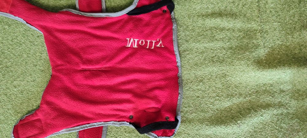 Одежда для собак