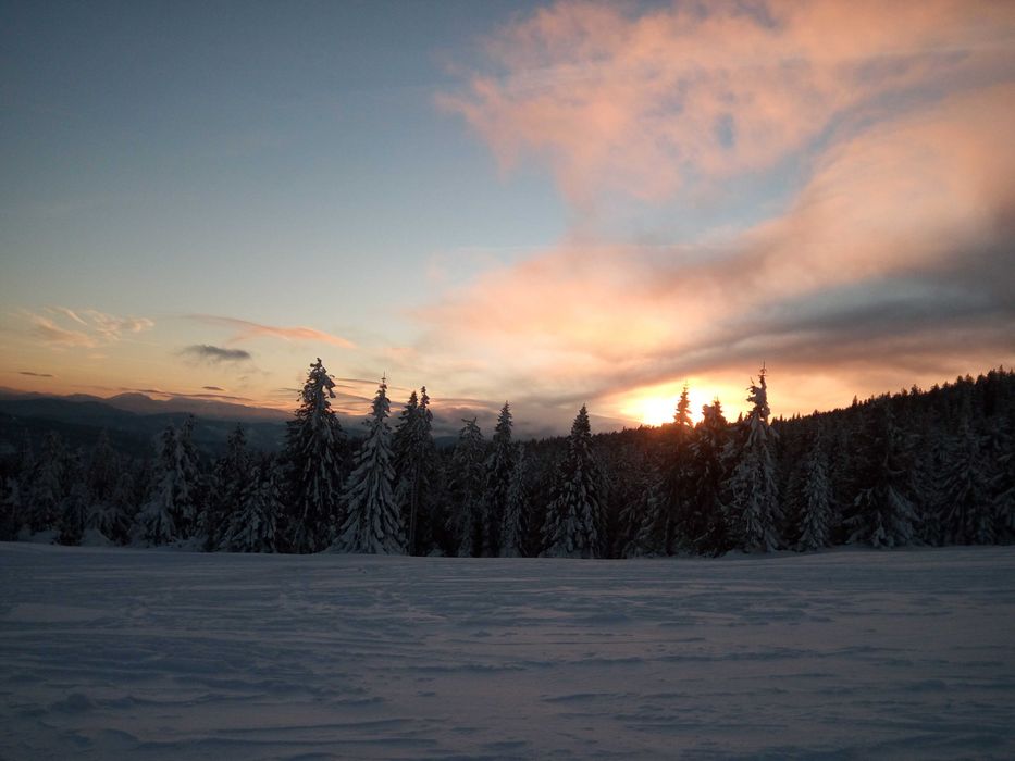 Domek w górach  nad rzeką w lesie weekend wakacje przy szlakach