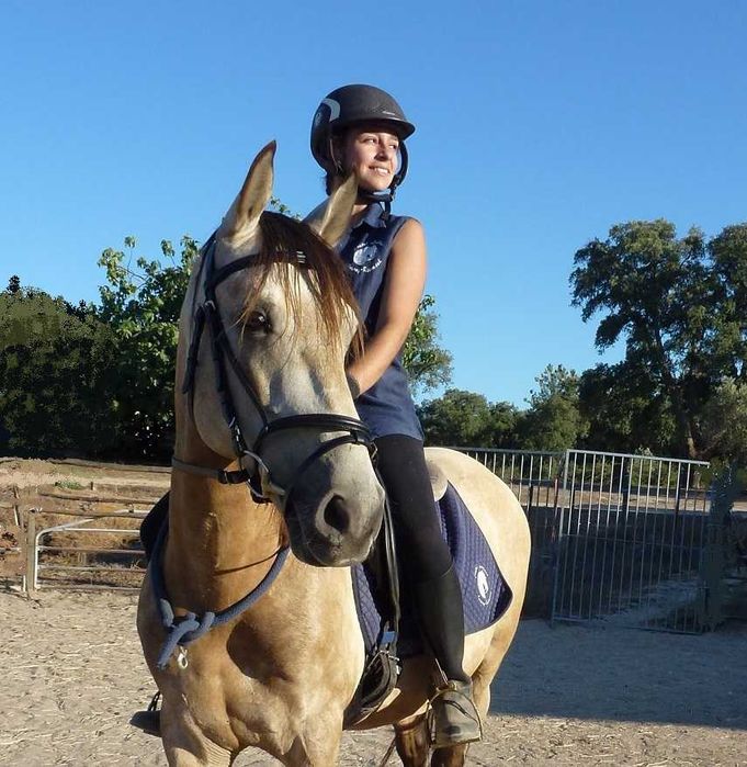 Lindo D-pony baio "Poneì Português"