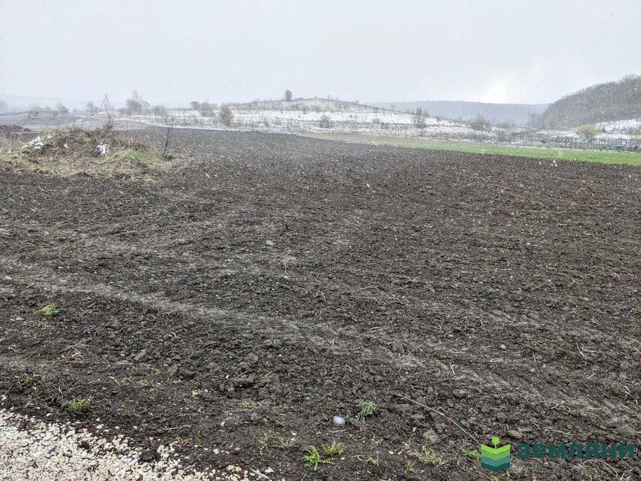 Продаж землі 32,87 сотки в с.Клубівці під забудову (5)