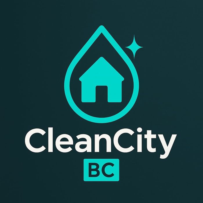 Професійний   клінінг квартир ,будинків, дитячих садочків, шкіл  і т.д