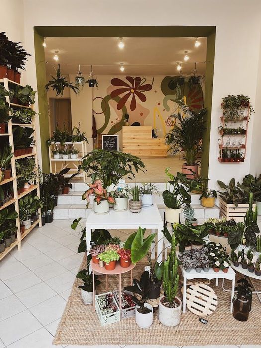Odstąpię biznes, kwiaciarnia w centrum Bydgoszczy
