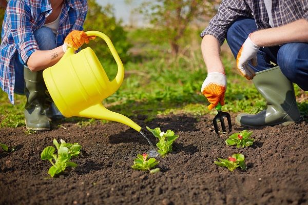 PLANTA Ziemia uniwersalna worek 80l do kwiatów i warzyw