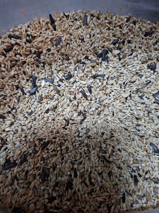 Pokarm  Szczygieł Major Czyżyk