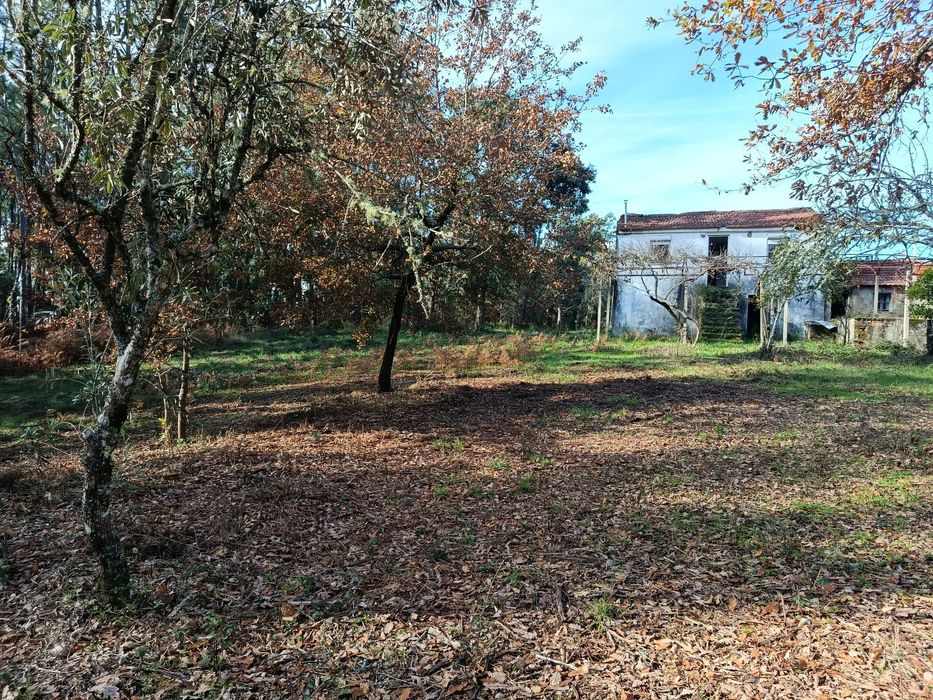 Vende-se quinta Cabeçudo, Sertã