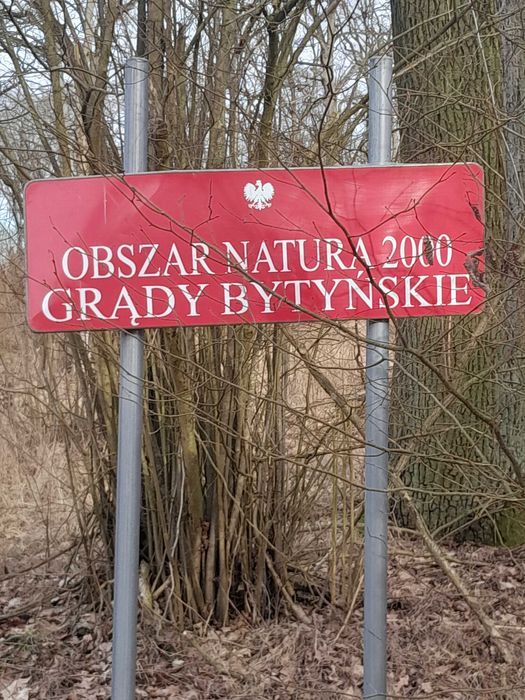Sprzedam działki Mieściska, gmina Duszniki