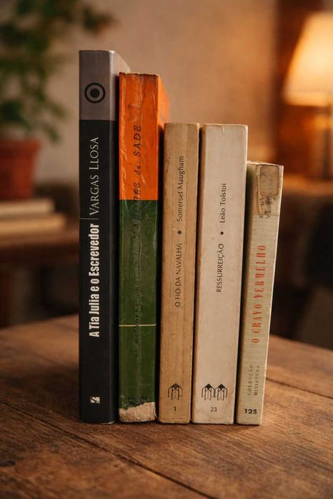 Lote 5 livros de literatura universal e autores de culto – Marquês de Sade, Vargas Llosa, Tolstoi, Somerset Maugham e Elio Vittorini