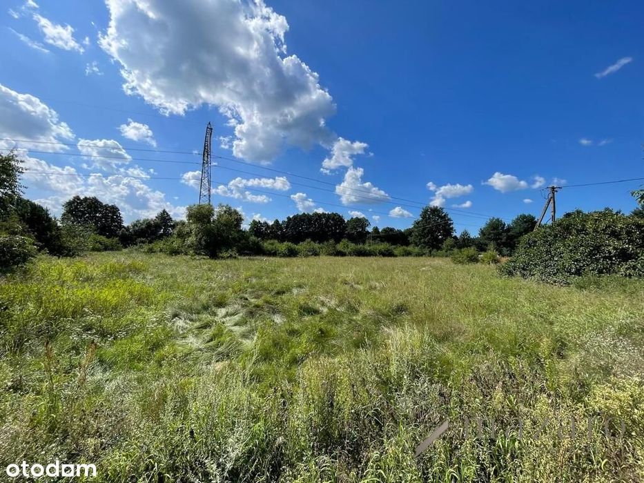 Działka Budowlana 1427 M² – Przyłęki / Brzoza