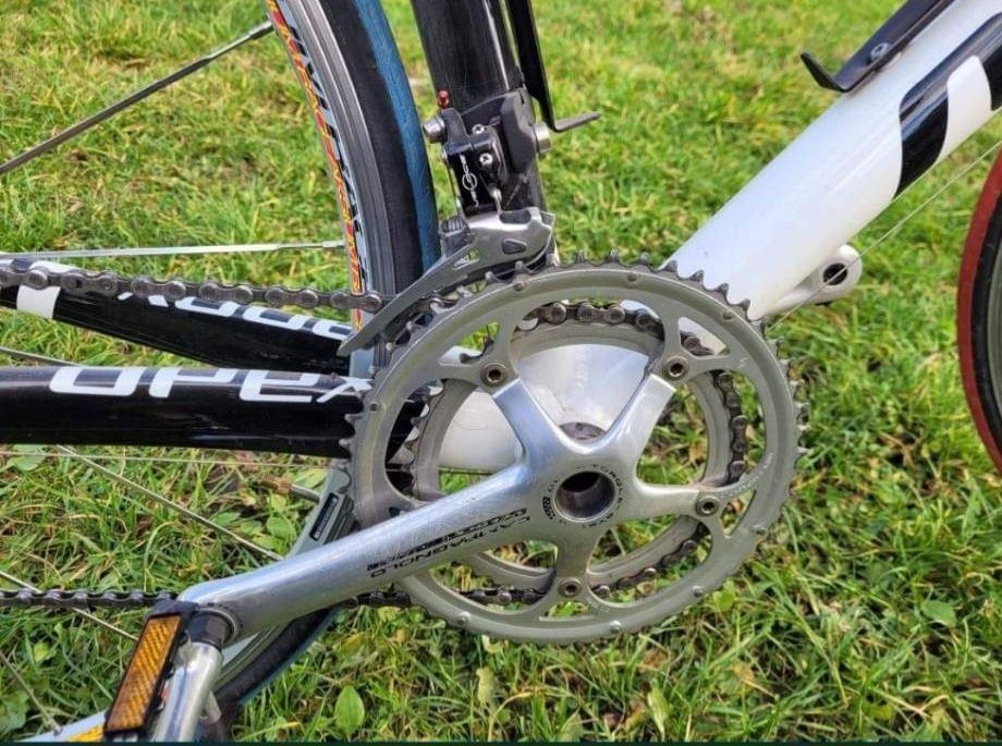 Rower szosowy, accent apex, compagnolo podzespoły