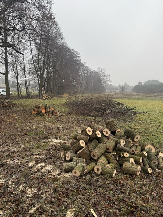 Czyszczenie działek