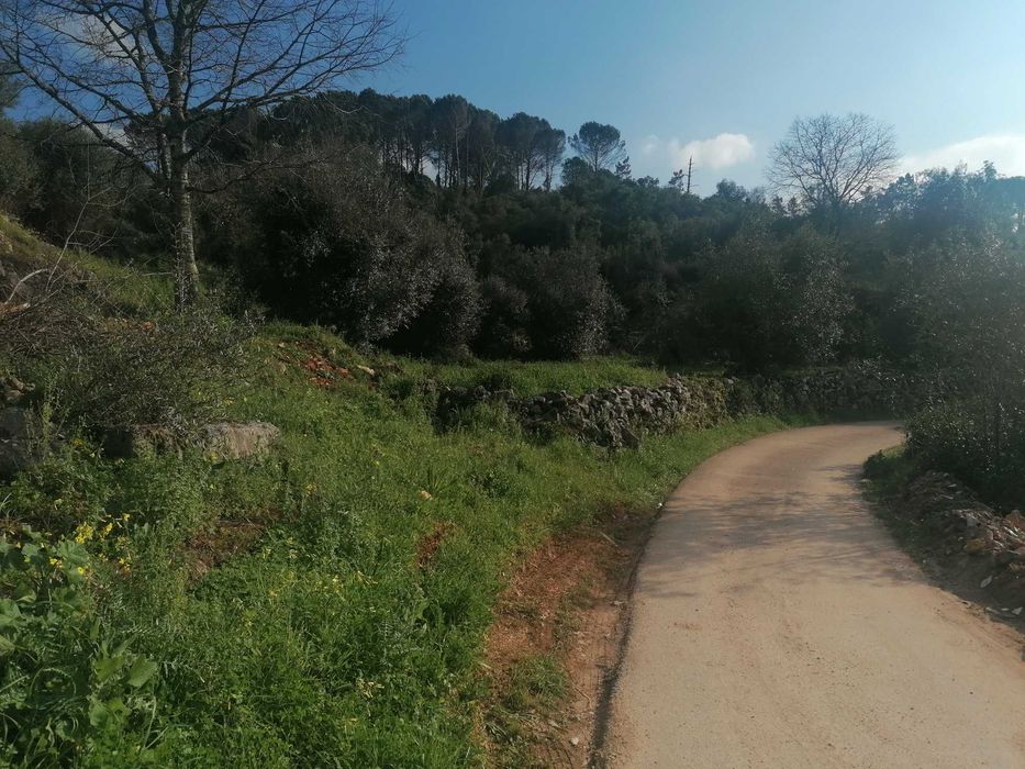 Vendem-se terrenos com viabilidade de construção ou para utilização agricula a partir de 20.000 euros.