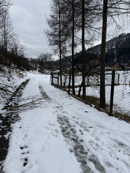 Продаж земельної ділянки с. Кваси Закарпатська обл