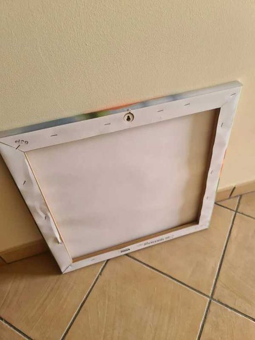 Tela Quadro Moldura Rosas Flor Roses 53x53cm Frame