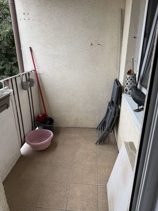 Zdjęcie 7