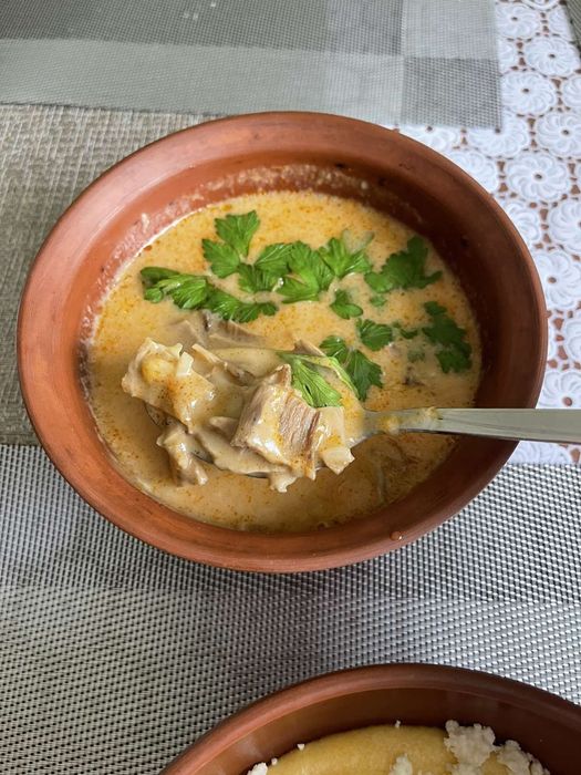 Відпочинок в мальовничому місці на березі річки у селі Ізки