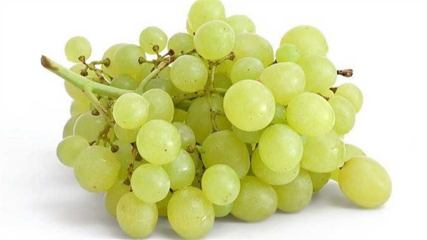 Vendem-se uvas tintas e brancas para fazer vinh(o)