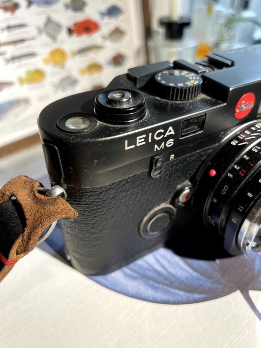 Leica M6 com Voigtlander Nokton 35mm F1.4