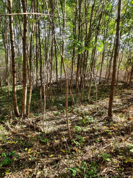 System nawodnienia i odwodnienia , drenaż