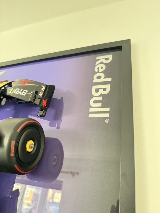 Quadro Display LEGO Technic Oracle Red Bull Racing RB20 F1 Car (42206)