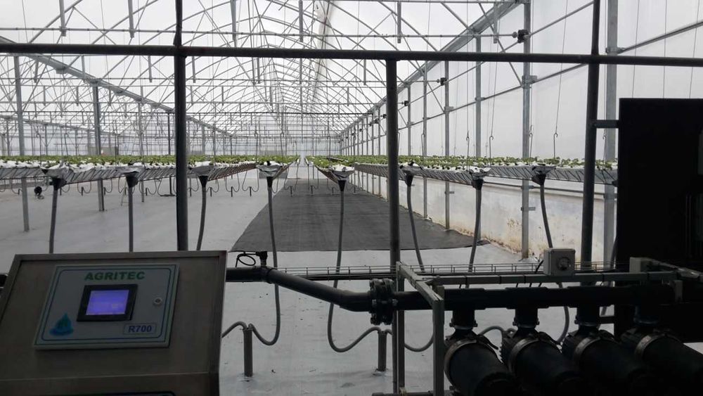 Estufa Gotica, 2700 m2 - excelente estado
