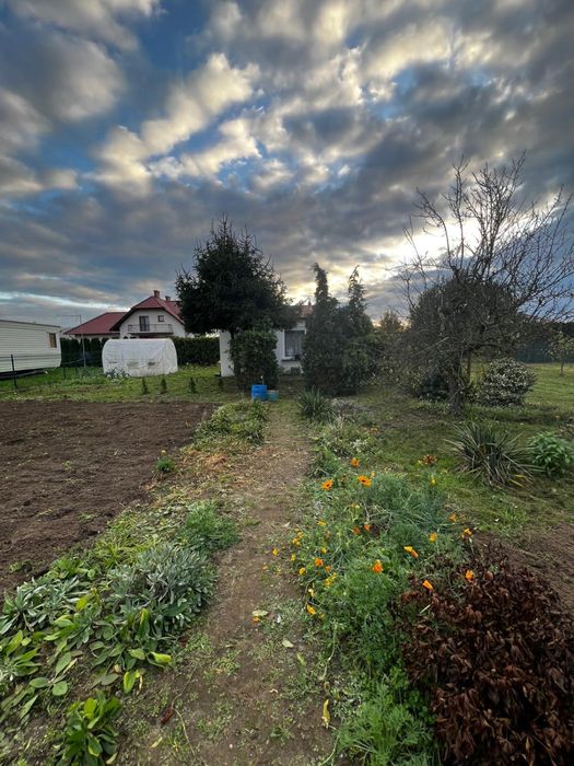 Działka ROD – Wolsztyn, ogród nr 2