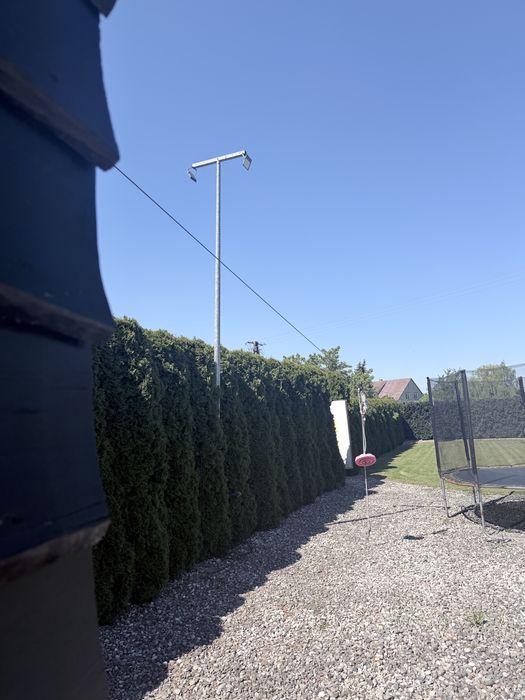 Domek na drzewie