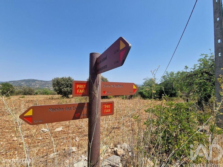Terreno Agrícola em Santa Bárbara de Nexe