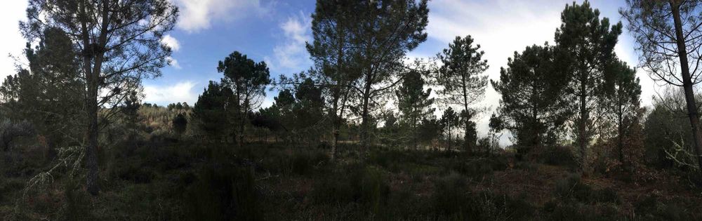 Terreno 5 hectares barato, viabilidade de construção, muita água e exposição solar